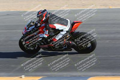 media/Jan-14-2024-SoCal Trackdays (Sun) [[2e55ec21a6]]/Turn 10 Inside (110pm)/